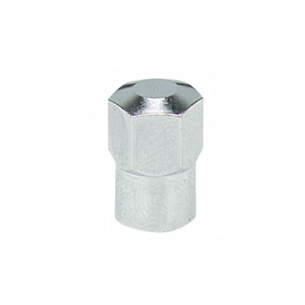 HEXAGON METAL VALVE CAPS